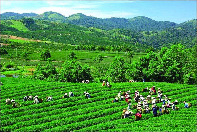 Thái Nguyên: Quyết tâm đạt mục tiêu tăng trưởng trên 10,5% trong năm 2025 Thái Nguyên: Quyết tâm đạt mục tiêu tăng trưởng trên 10,5% trong năm 2025