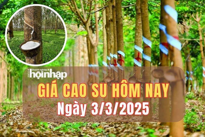 Giá cao su hôm nay 3/3: Giá cao su trên các sàn giao dịch diễn biến trái chiều