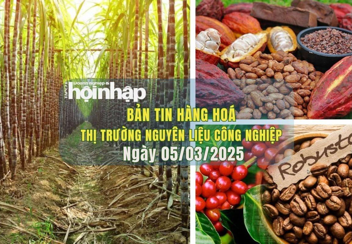 Thị trường nguyên liệu công nghiệp 5/3: Ca cao phục hồi, cà phê bật tăng mạnh, đường tiếp tục giảm sâu