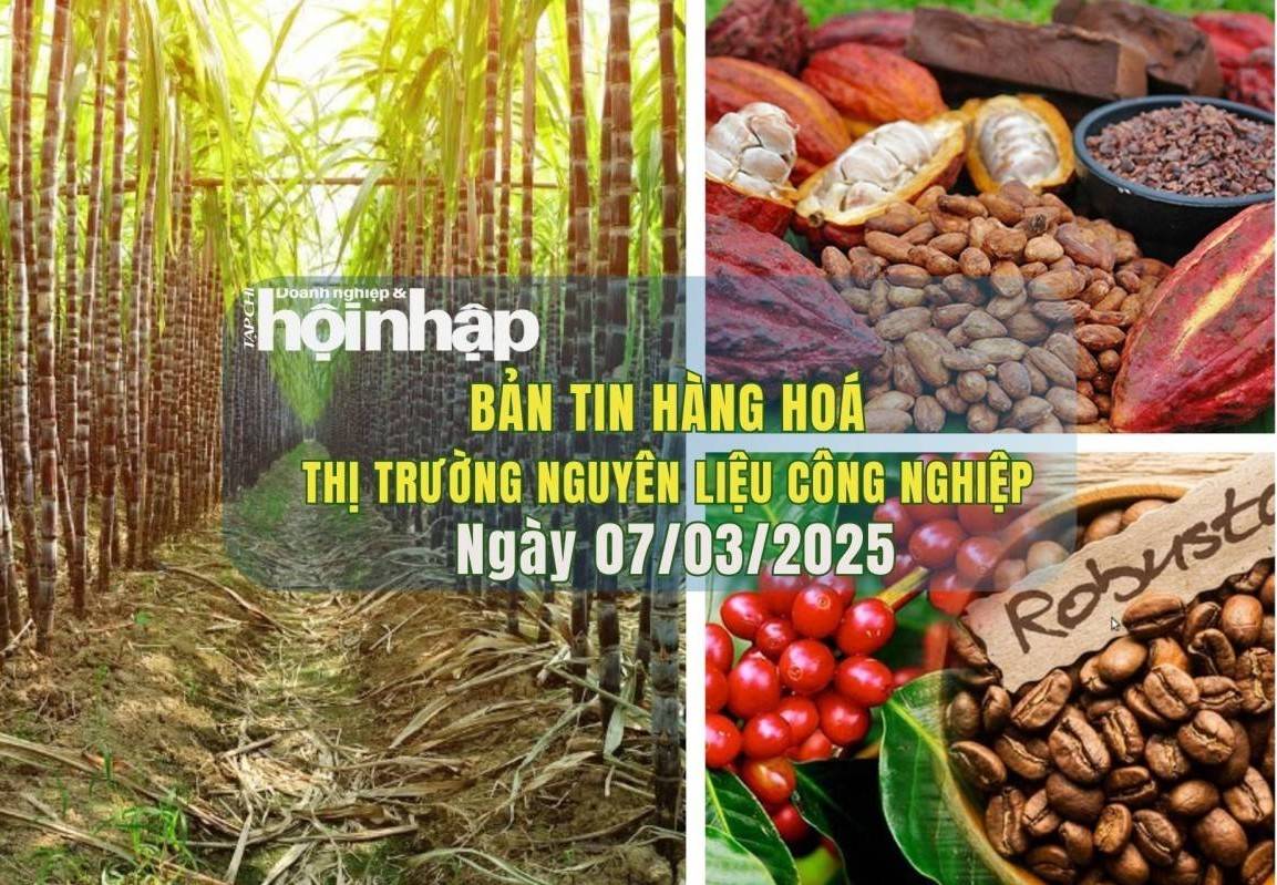 Thị trường nguyên liệu công nghiệp 7/3: Giá cà phê giảm mạnh, ca cao phục hồi nhẹ, đường tiếp tục đi xuống