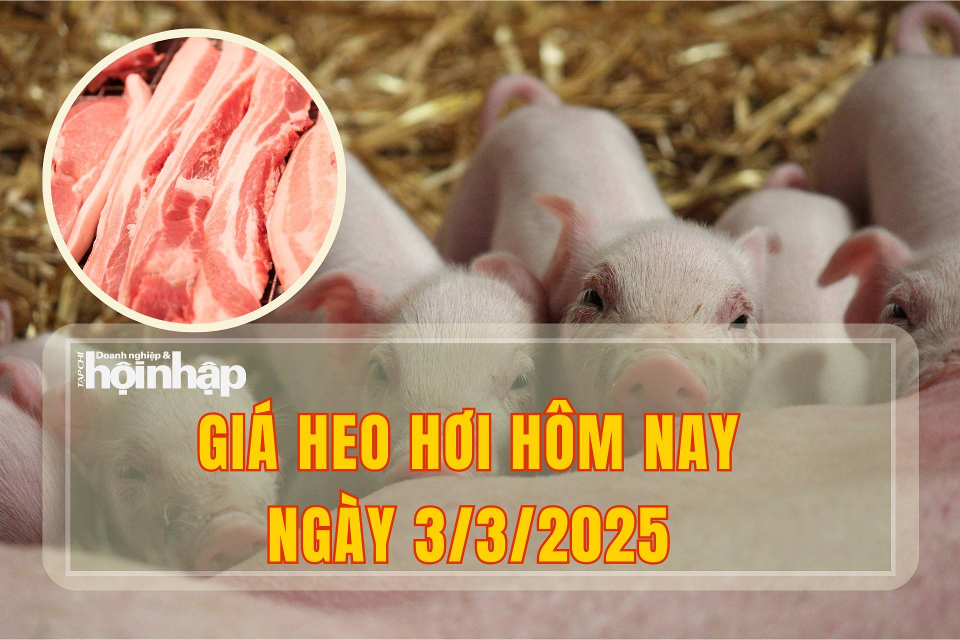 Giá heo hơi hôm nay 3/3/2025: Tiếp đà tăng giá trên cả nước Giá heo hơi hôm nay 3/3/2025: Tiếp đà tăng giá trên cả nước
