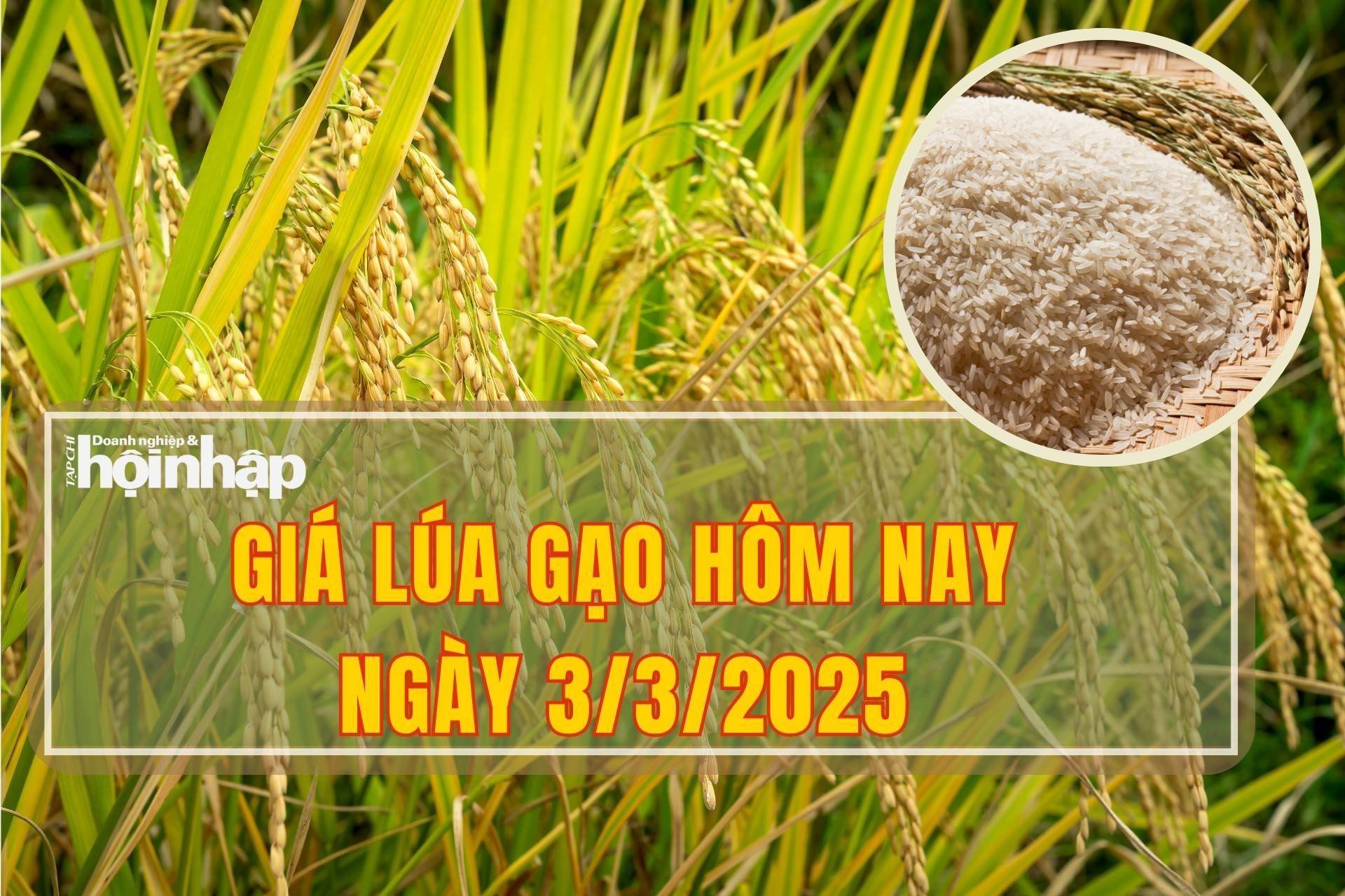 Giá lúa gạo hôm nay 3/3/2025: Thị trường lúa biến động trái chiều