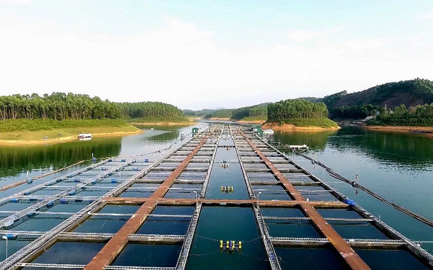 Yên Bái đặt mục tiêu nâng cao an toàn thực phẩm năm 2025