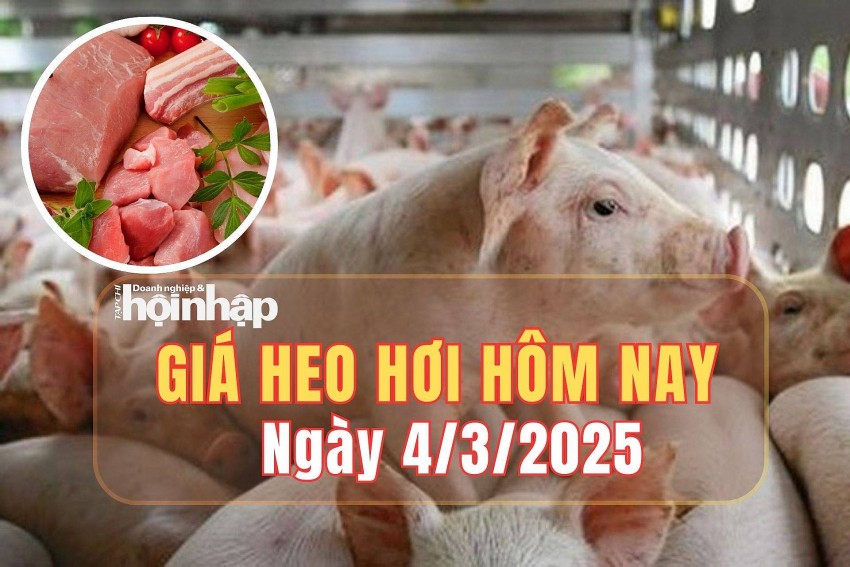 Giá heo hơi hôm nay 4/3/2025: Giá heo hơi tăng nhanh, đạt mức 81.000 đồng/kg tại một vài nơi Giá heo hơi hôm nay 4/3/2025: Giá heo hơi tăng nhanh, đạt mức 81.000 đồng/kg tại một vài nơi