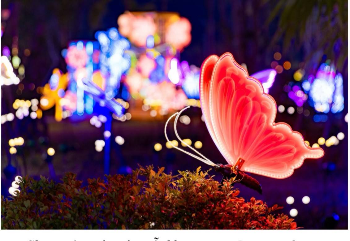 Chạm cảm xúc với mỗi khu vực tại Dragon Ocean Lighting Park Chạm cảm xúc với mỗi khu vực tại Dragon Ocean Lighting Park