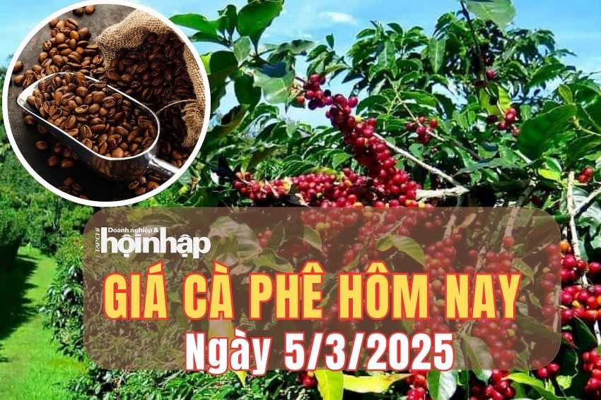 Giá cà phê hôm nay 5/3/2025: Giá cà phê tiếp đà tăng mạnh, trong nước tăng từ 2.800 - 3.000 đồng/kg Giá cà phê hôm nay 5/3/2025: Giá cà phê tiếp đà tăng mạnh, trong nước tăng từ 2.800 - 3.000 đồng/kg