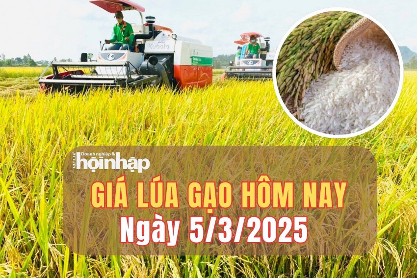 Giá lúa gạo hôm nay 5/3/2025: Giá lúa tăng nhẹ, gạo xuất khẩu giảm 3 USD/tấn