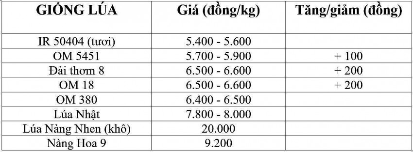 Bảng giá lúa hôm nay 5/3/2025.