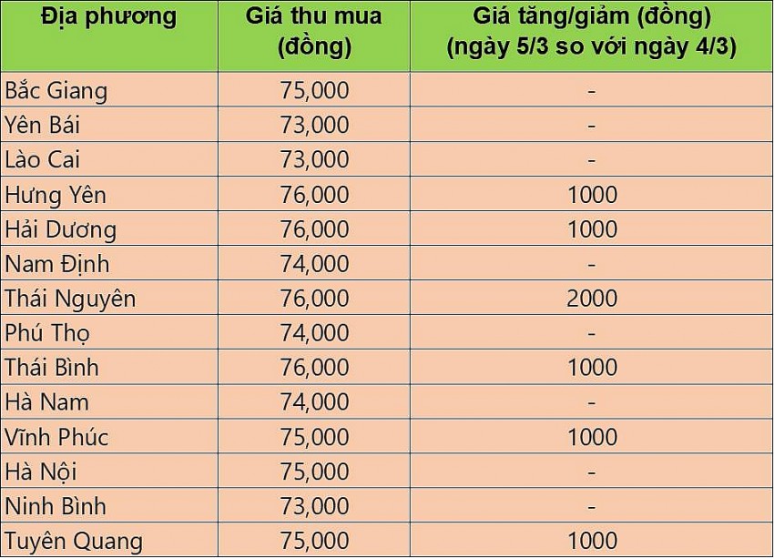 Bảng giá heo hơi tại miền Trung hôm nay 5/3/2025. Bảng giá heo hơi tại miền Trung hôm nay 5/3/2025.