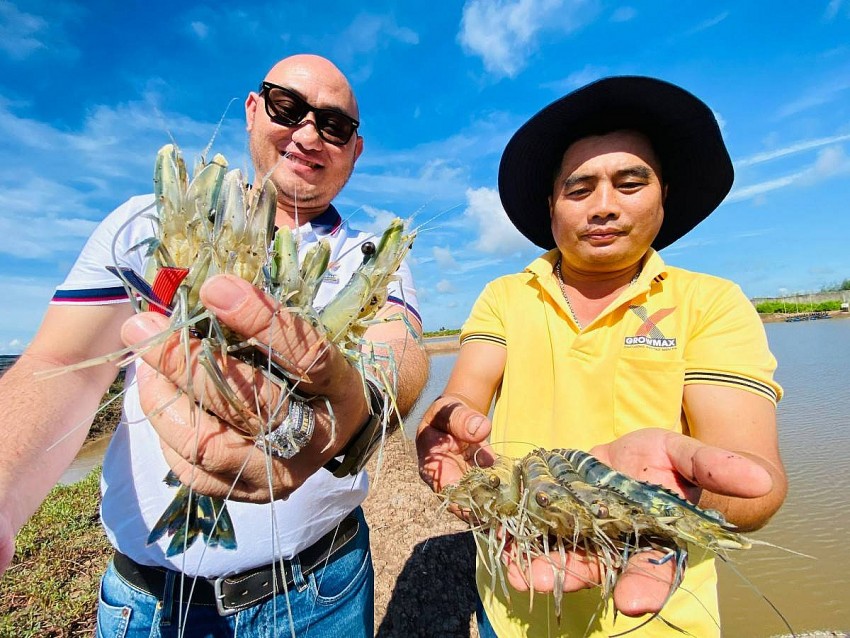 Ngành tôm Việt Nam: Cần chủ động nguồn giống, khơi thông thị trường
