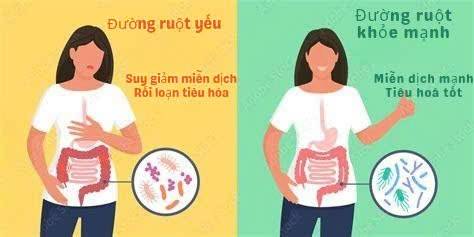 5 thói quen đơn giản giúp tăng cường sức khỏe đường ruột hiệu quả