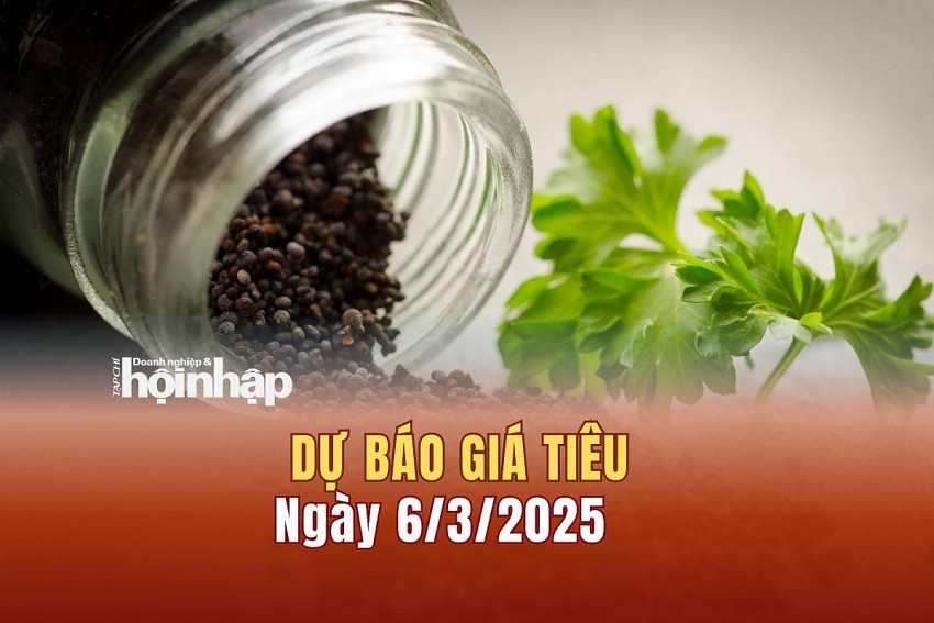 Dự báo giá tiêu 6/3/2025
