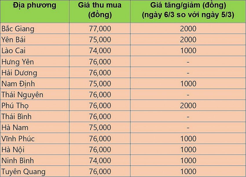 giá heo hơi giá heo hơi