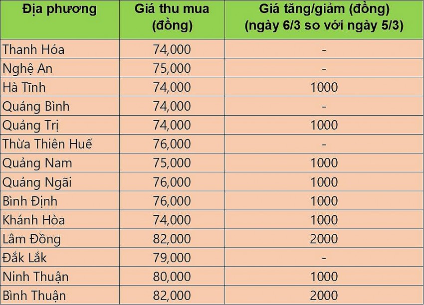 giá heo hơi giá heo hơi