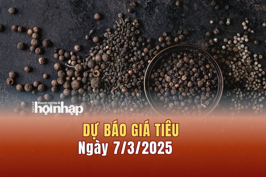 Dự báo giá tiêu 7/3/2025