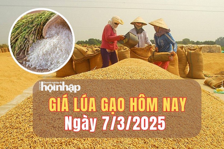Giá lúa gạo hôm nay 7/3/2025: Giá gạo nguyên liệu tăng từ 50 - 100 đồng/kg