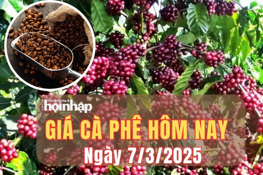 giá cà phê giá cà phê
