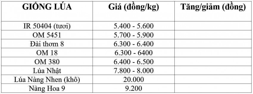 Giá lúa gạo hôm nay 7/3/2025: Giá gạo nguyên liệu tăng từ 50 - 100 đồng/kg