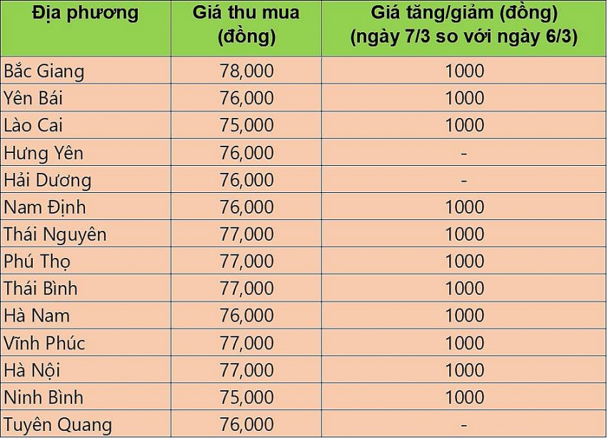 giá heo hơi giá heo hơi