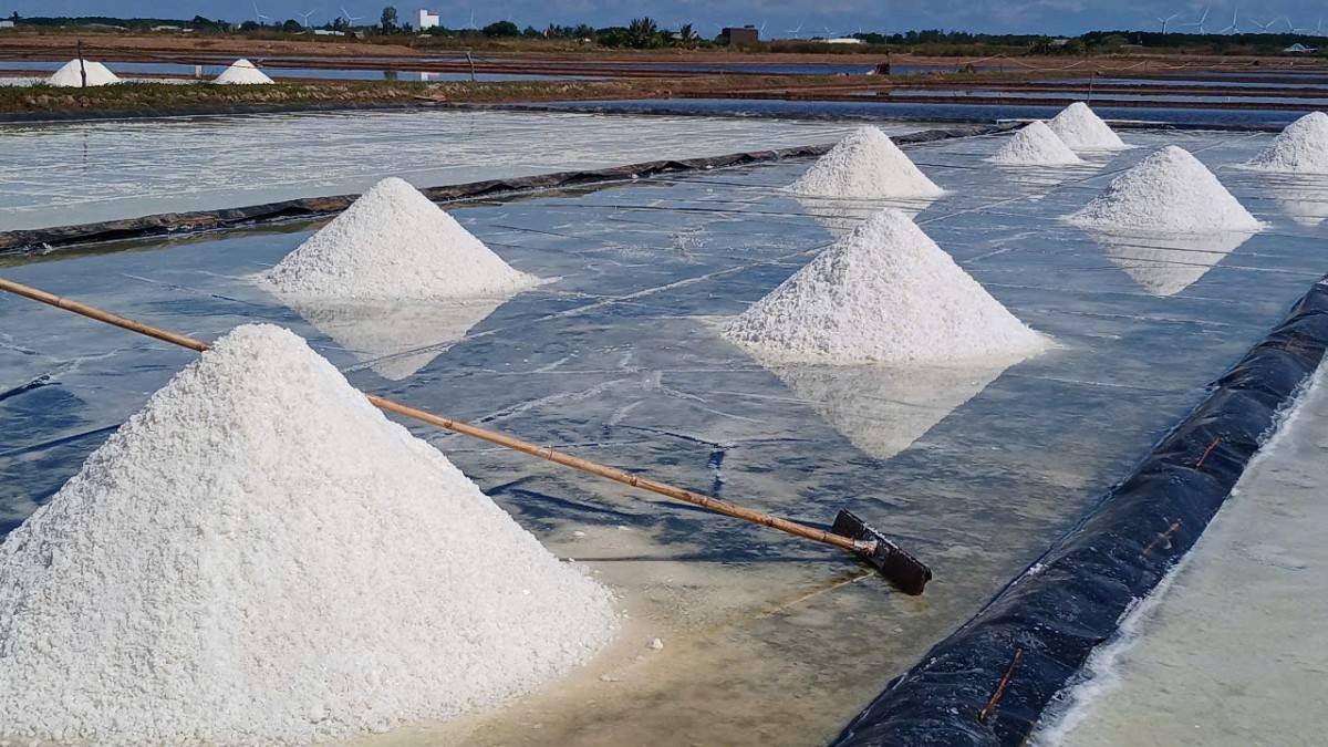 Cánh đồng muối tỉnh Bạc Liêu (xã Điền Hải, xã Long Điền Đông, huyện Đông Hải 