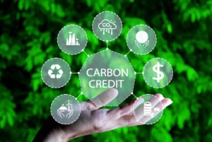 Việt Nam thí điểm sàn giao dịch carbon từ tháng 6/2025