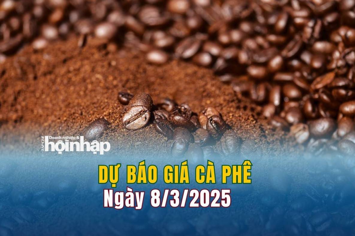 Dự báo giá cà phê 8/3: Giá cà phê trong nước giảm sâu