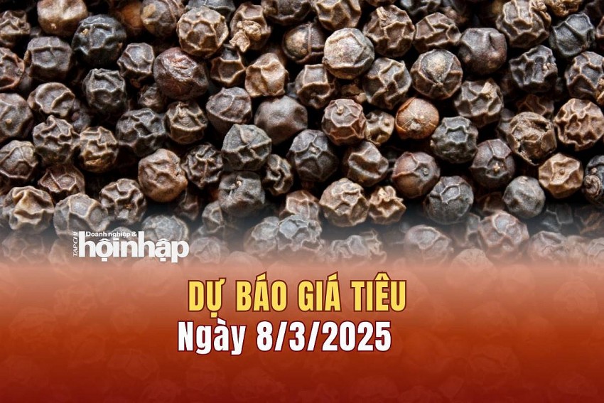 Dự báo giá tiêu 8/3/2025
