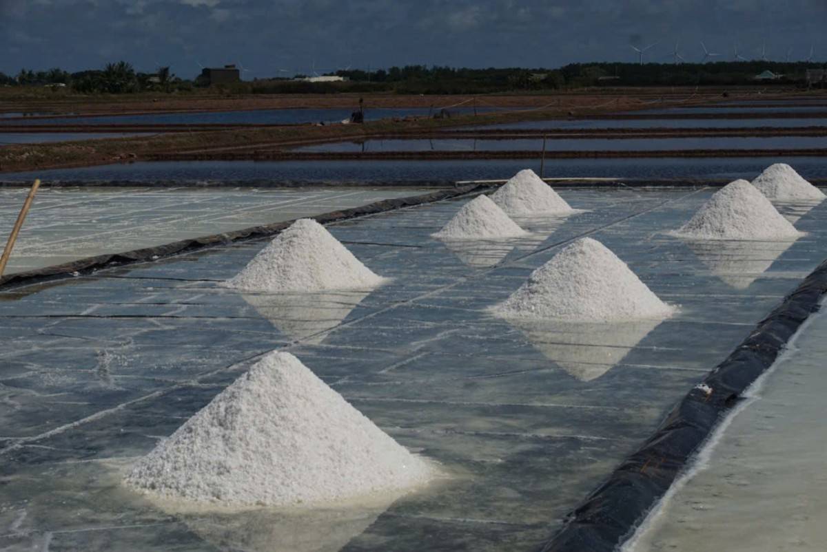 Nghề muối Bạc Liêu là nghề truyền thống, đã được