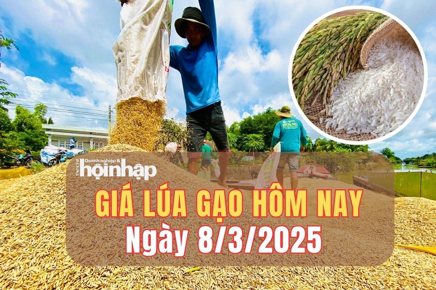 giá lúa gạo giá lúa gạo