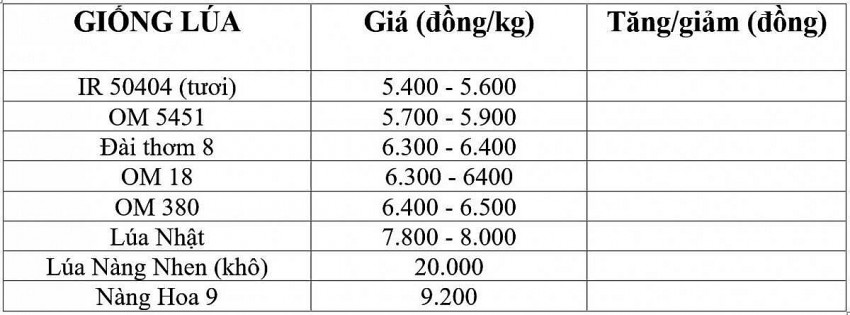 giá lúa gạo giá lúa gạo