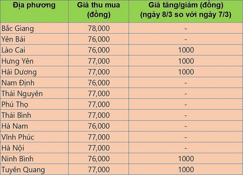 giá heo hơi giá heo hơi