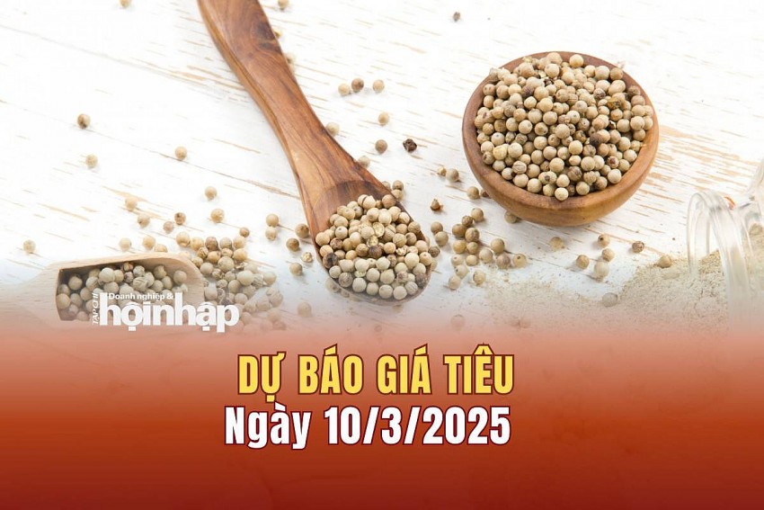 Dự báo giá tiêu 10/3/2025 Dự báo giá tiêu 10/3/2025