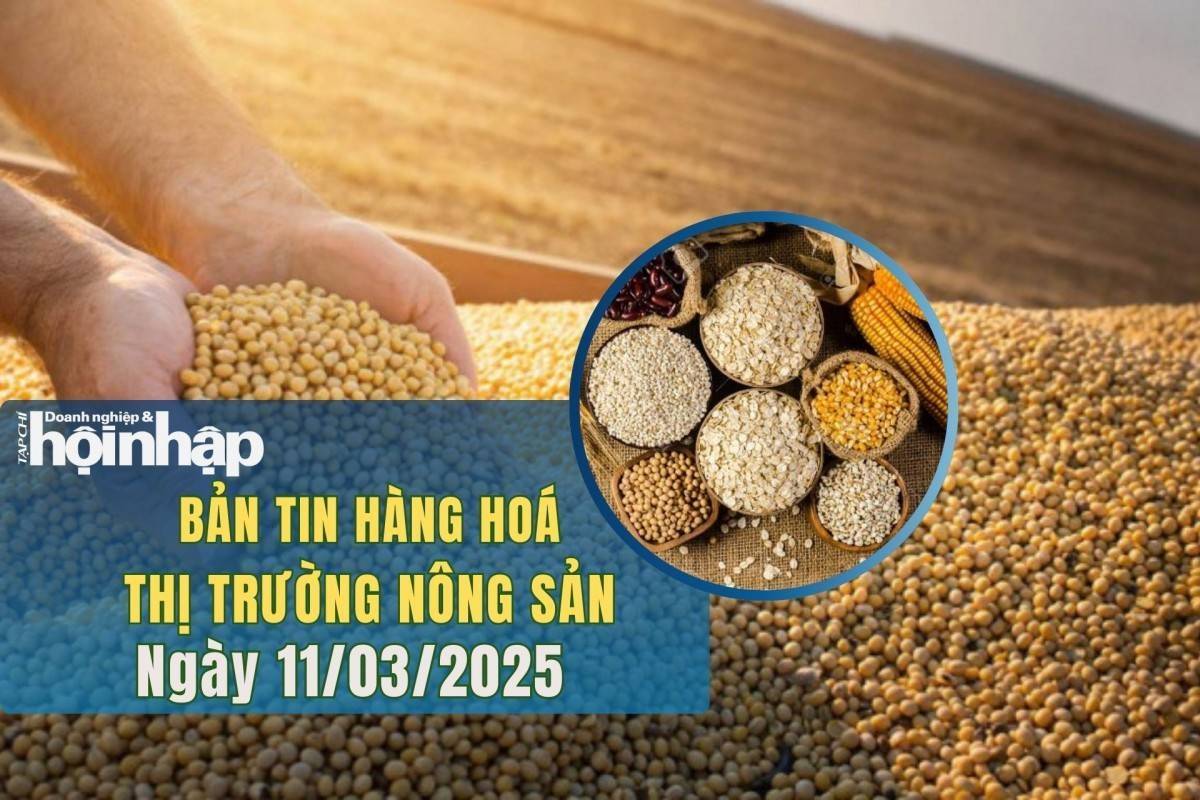 Thị trường nhóm nông sản 11/3: Lúa mì, ngô tăng nhẹ, đậu tương suy yếu