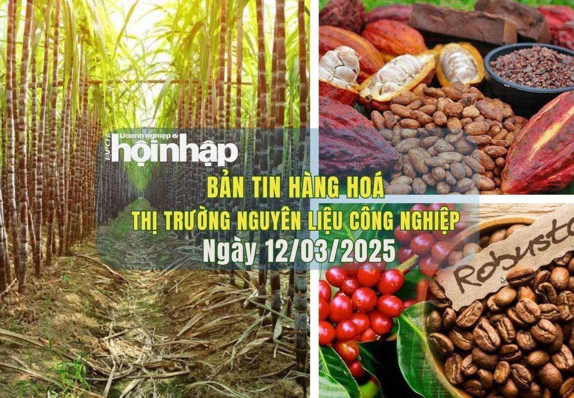 Thị trường nguyên liệu công nghiệp 12/3: Ca cao và đường giảm, cà phê đồng loạt tăng