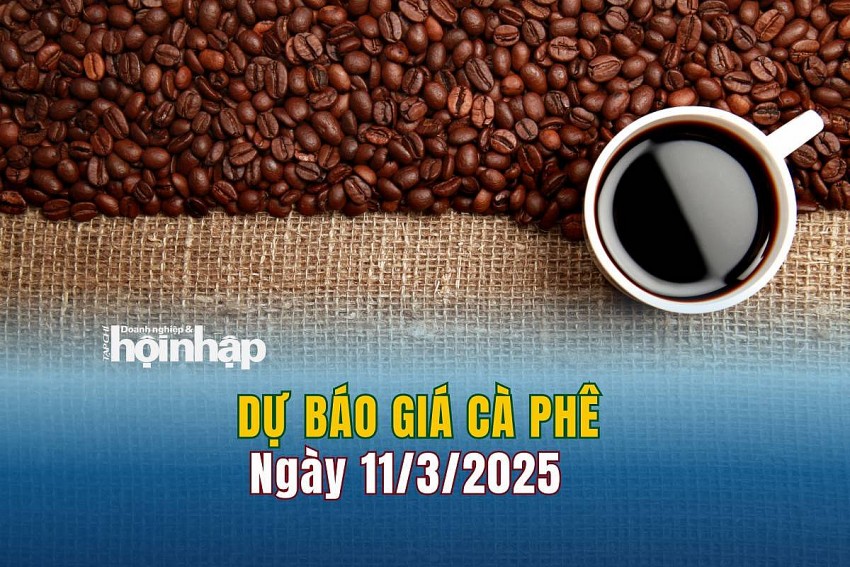 Dự báo giá cà phê 11/3/2025 Dự báo giá cà phê 11/3/2025