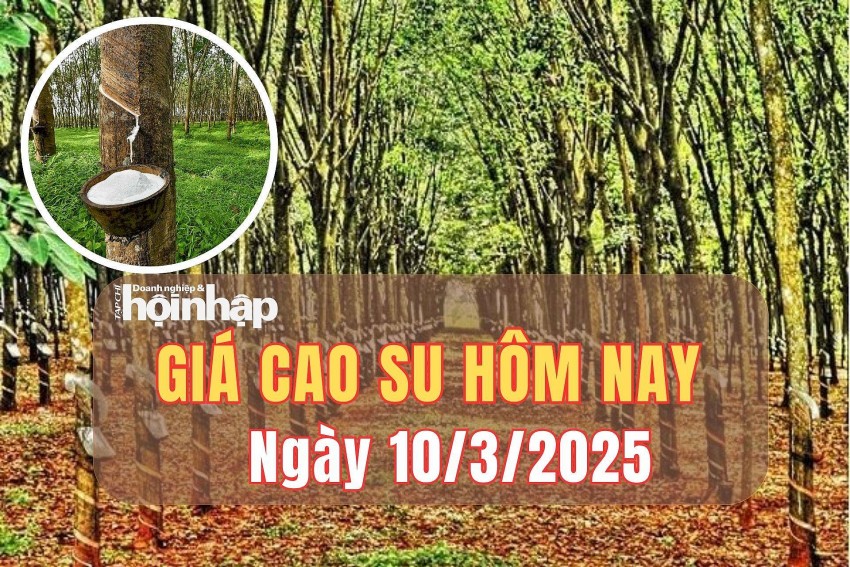 giá cao su giá cao su