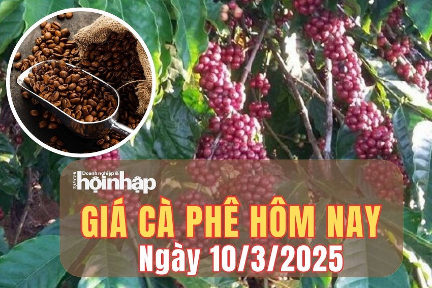 giá cà phê giá cà phê