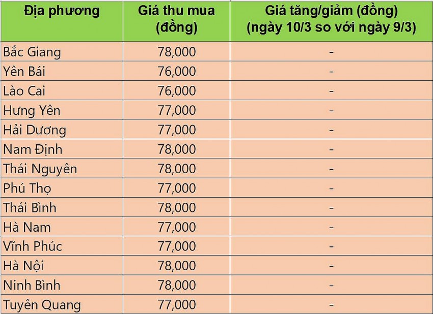 giá heo hơi giá heo hơi