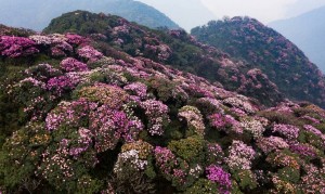 Lai Châu: Tổ chức Lễ hội Putaleng huyện Tam Đường