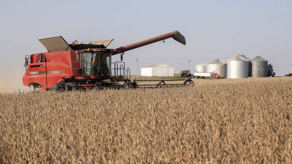 Thực phẩm – Vũ khí thương mại chi phí thấp nhưng hiệu quả cao của Trung Quốc