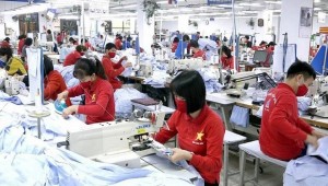 Thương mại Việt Nam - Hoa Kỳ vượt 22 tỷ USD