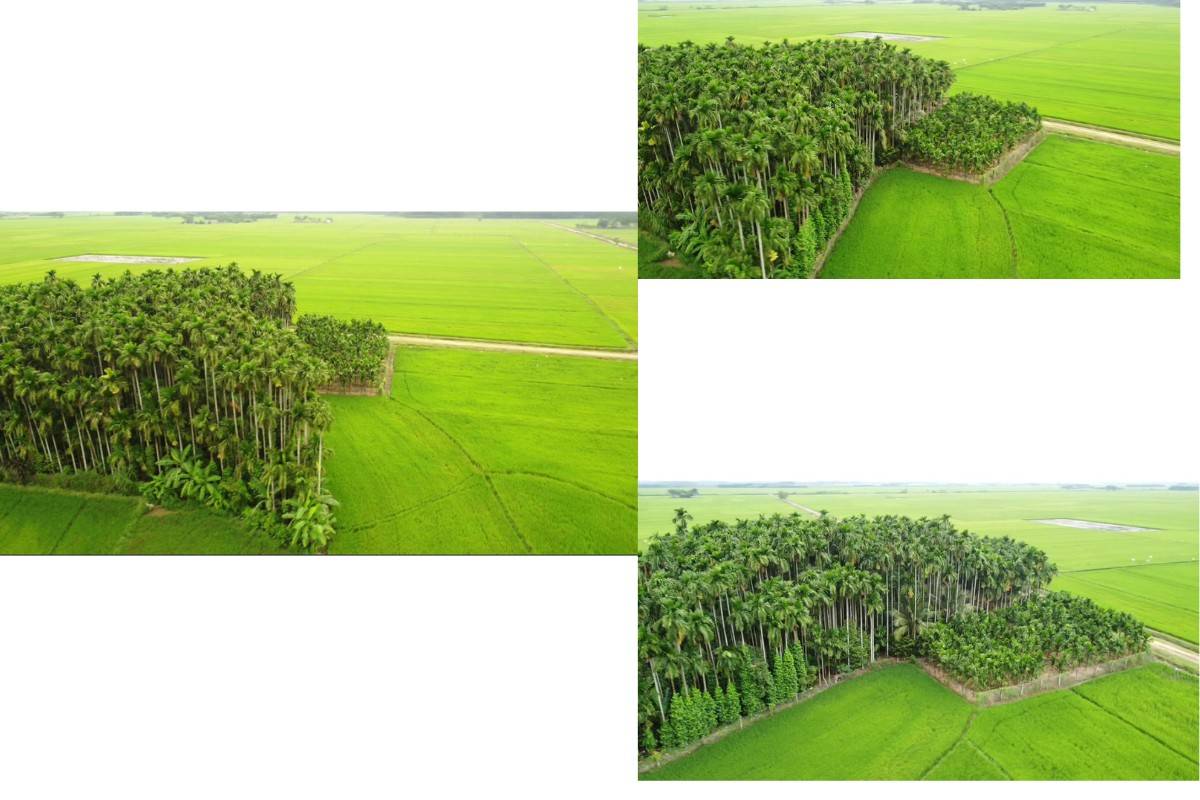 Bức tranh thiên nhiên yên bình ở thị trấn Võ Xu, Bình Thuận Bức tranh thiên nhiên yên bình ở thị trấn Võ Xu, Bình Thuận