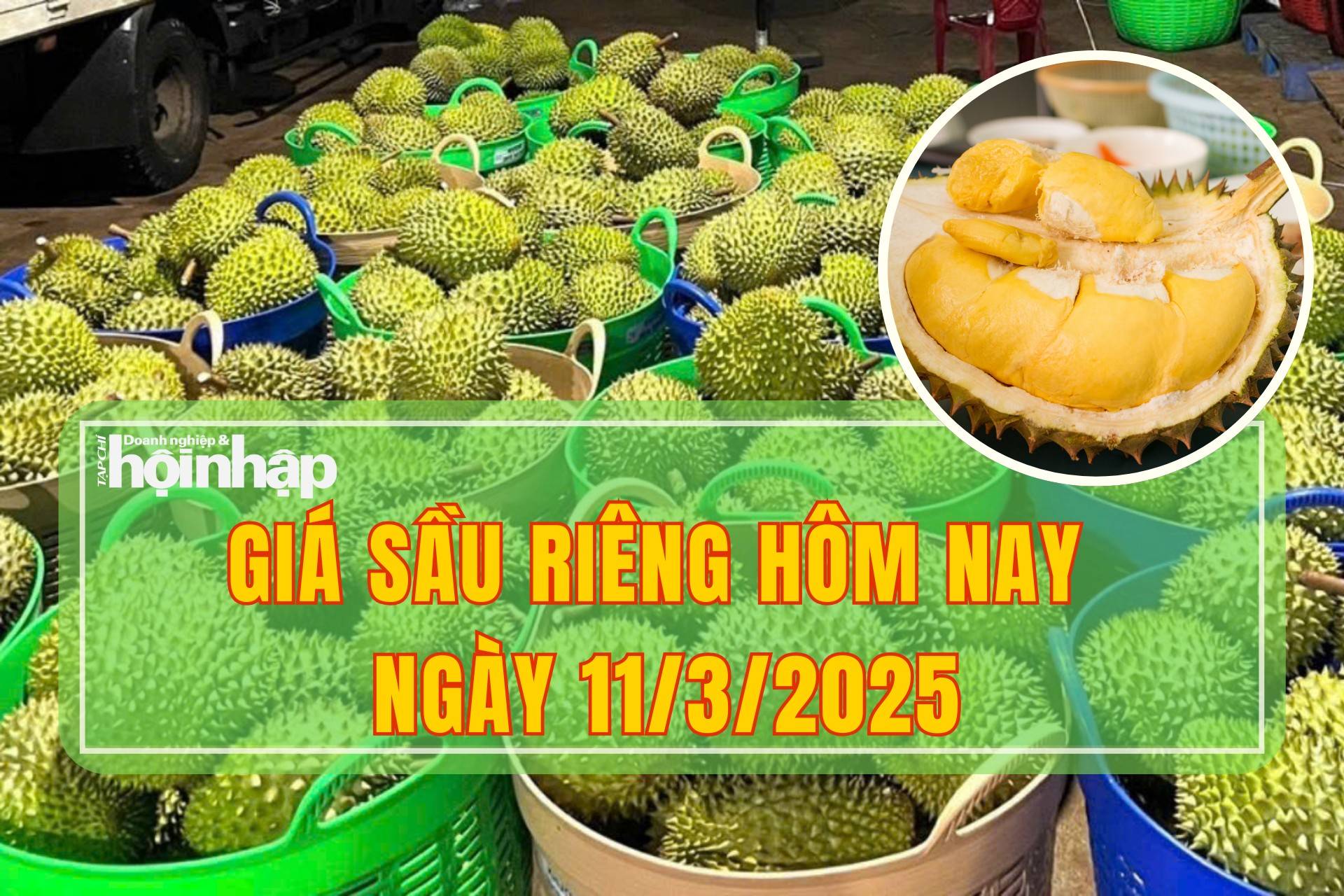 Giá sầu riêng hôm nay 11/3: Thị trường tiếp đà tăng giá Giá sầu riêng hôm nay 11/3: Thị trường tiếp đà tăng giá