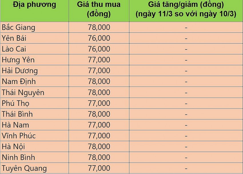Bảng giá heo hơi tại miền Bắc hôm nay 11/3/2025. Bảng giá heo hơi tại miền Bắc hôm nay 11/3/2025.