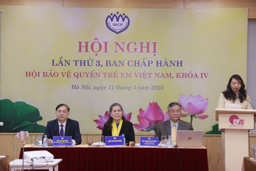 Quang cảnh hội ngị Hội Bảo vệ quyền trẻ em Việt Nam tổ chức kiện toàn nhân sự khóa IV