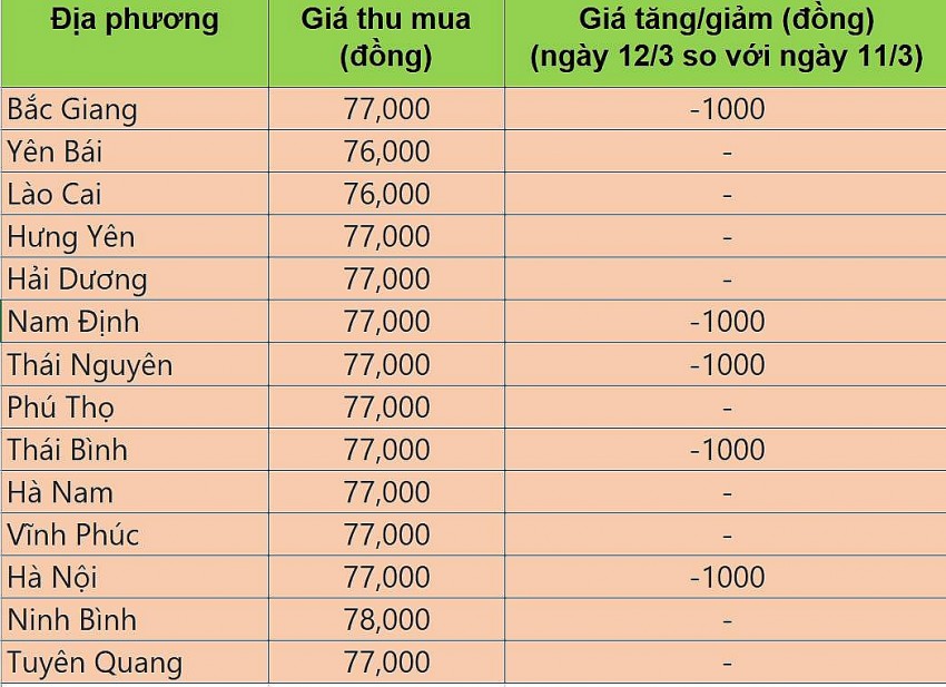 Bảng giá heo hơi tại miền Bắc hôm nay 12/3/2025. Bảng giá heo hơi tại miền Bắc hôm nay 12/3/2025.