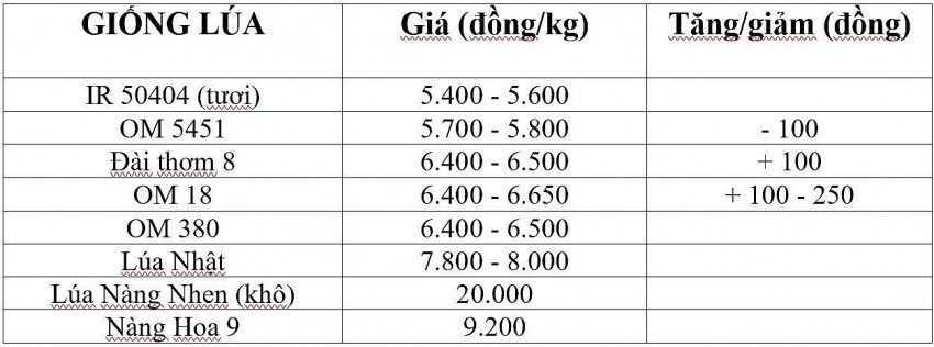 Bảng giá lúa hôm nay 12/3/2025. Bảng giá lúa hôm nay 12/3/2025.