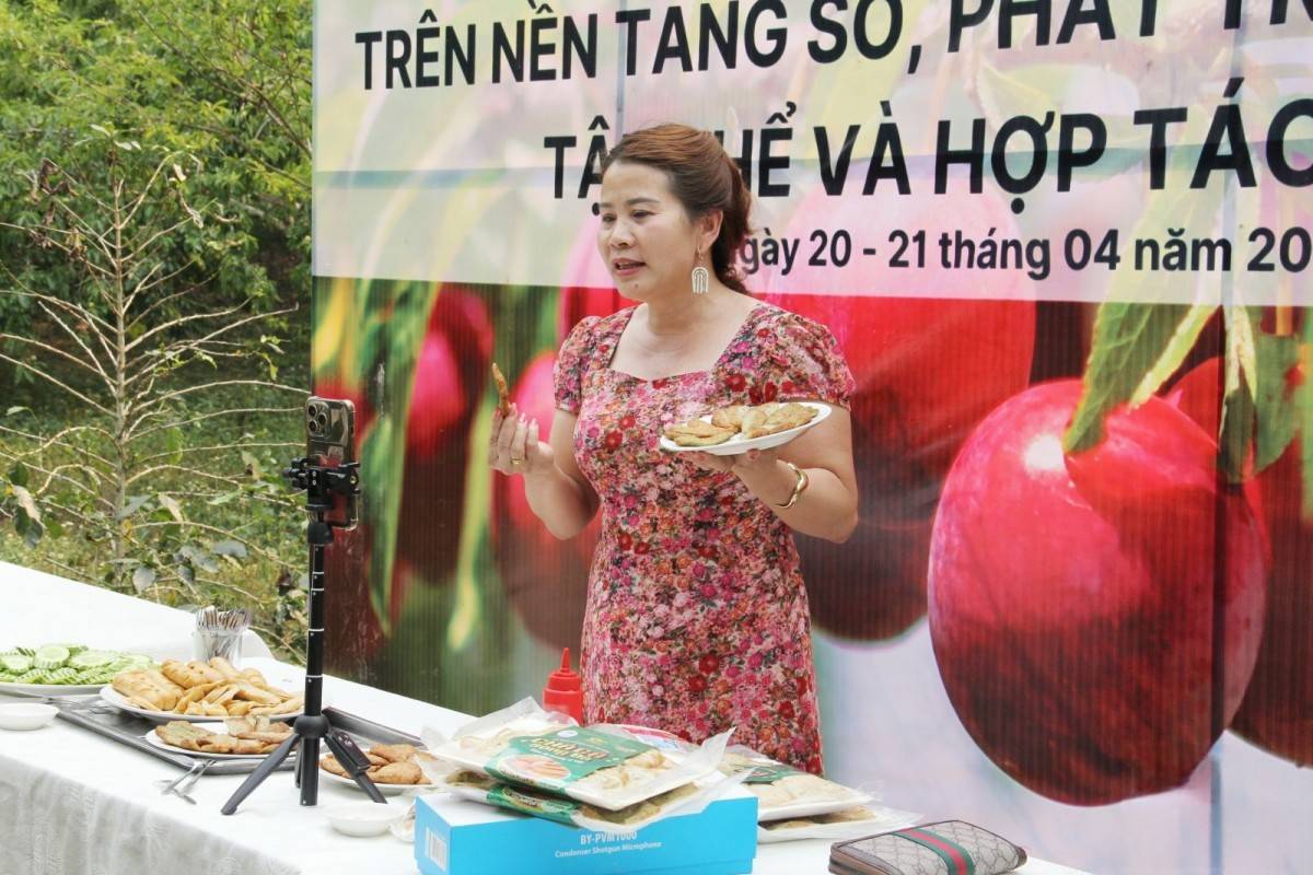 Sơn La: Khai thác tiềm năng kinh tế số cho doanh nghiệp và hợp tác xã Sơn La: Khai thác tiềm năng kinh tế số cho doanh nghiệp và hợp tác xã