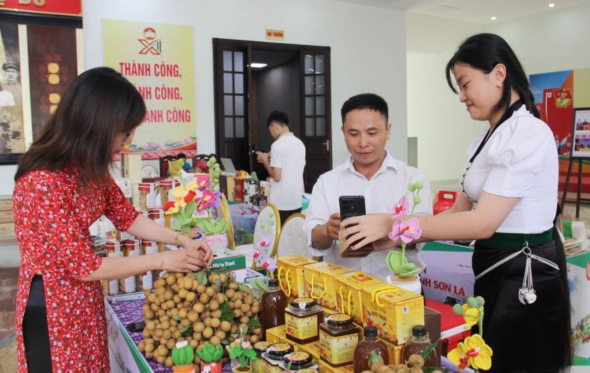 Sơn La: Khai thác tiềm năng kinh tế số cho doanh nghiệp và hợp tác xã Sơn La: Khai thác tiềm năng kinh tế số cho doanh nghiệp và hợp tác xã