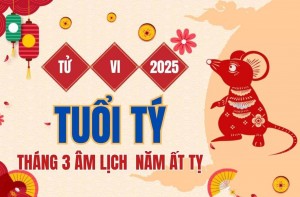 Tử vi tuổi Tý tháng 3 năm 2025: Có quá nhiều hung tinh đe dọa sẽ khiến vận trình của con giáp này có nhiều biến động